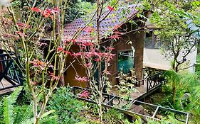 Bazan Home - Hotel & Bungalow